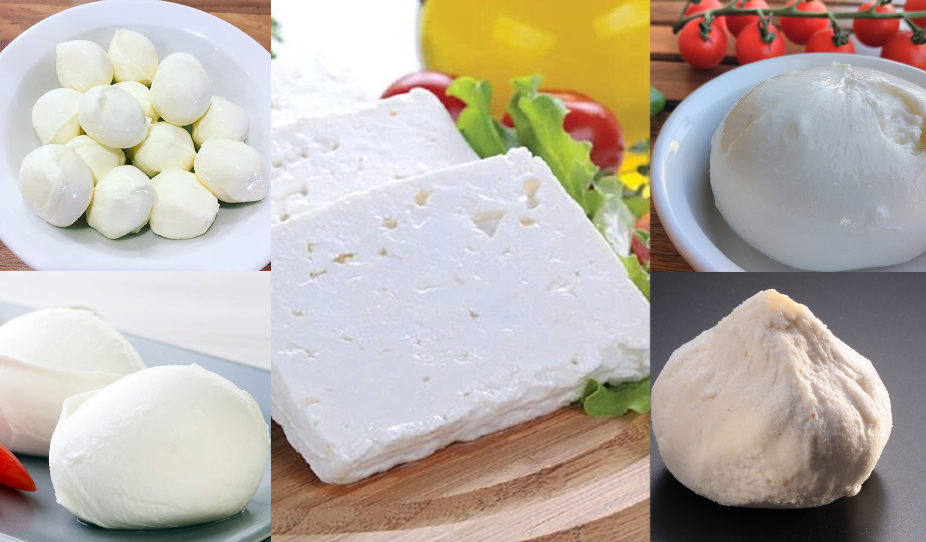 Choisissez votre cave à fromages grâce à nos conseils 